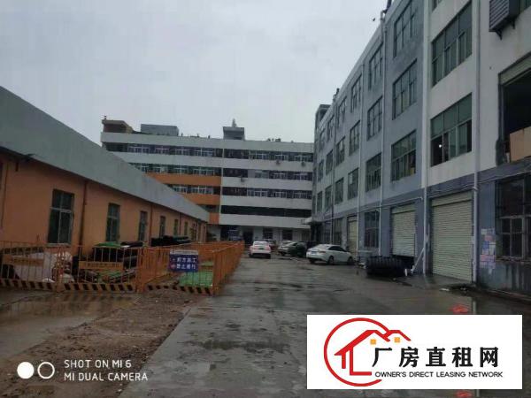  横岗四联地坪漆装修厂房1125平 2250平价格好谈