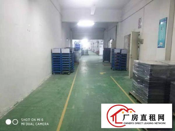  横岗四联地坪漆装修厂房1125平 2250平价格好谈