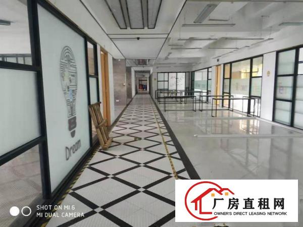  横岗六约埔厦工业区现成服装展厅920平米招租无需转让费