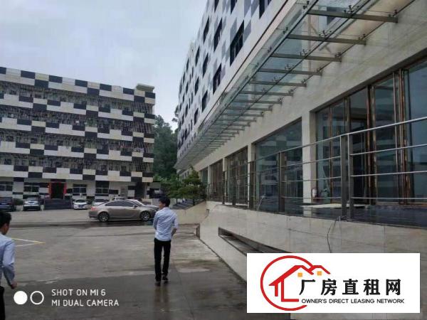  横岗六约埔厦工业区现成服装展厅920平米招租无需转让费