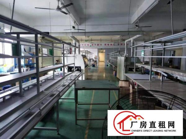  大康市场精装修三楼1200平方，适合眼镜电子厂