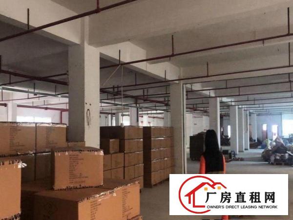  横岗大康村新出三层独门独院厂房3500平方，有红本，两部电梯