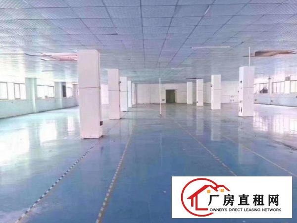  横岗四联独院三层5200平方厂房招租，没有转让费