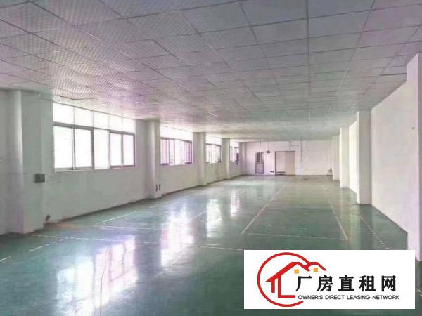  横岗四联独院三层5200平方厂房招租，没有转让费