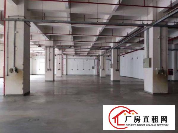  横岗安良一楼豪华装修厂房2900平出租，无需转让费
