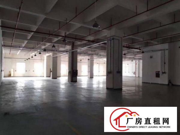  横岗安良一楼豪华装修厂房2900平出租，无需转让费
