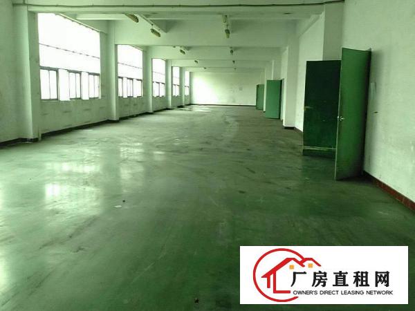  出租龙岗区横岗四联新出厂房580平方现房招租