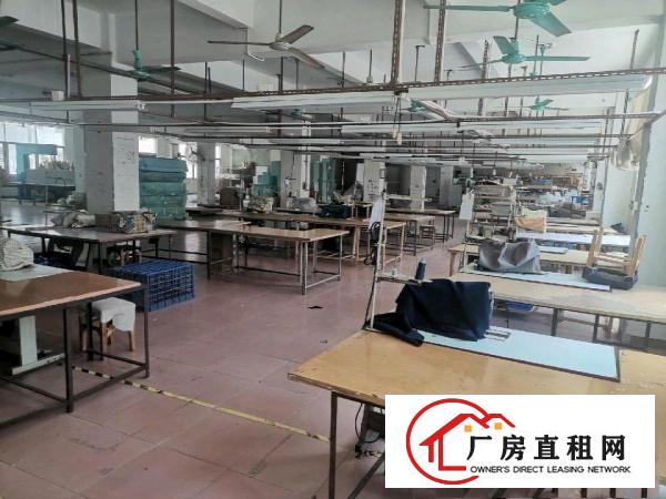  四联新空出独门独院厂房大小可分租100平起！