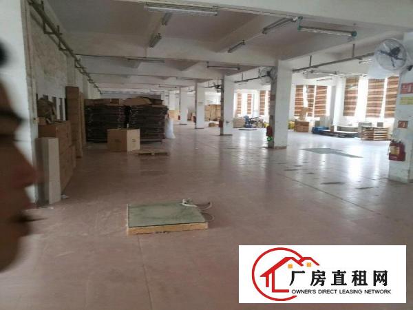  四联新空出独门独院厂房大小可分租100平起！