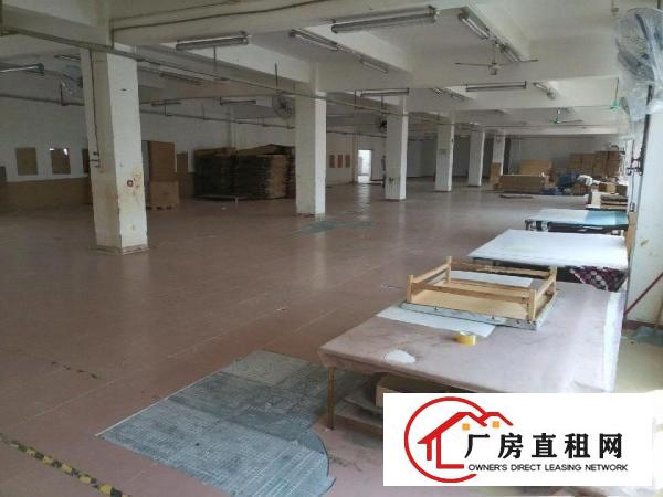  四联新空出独门独院厂房大小可分租100平起！