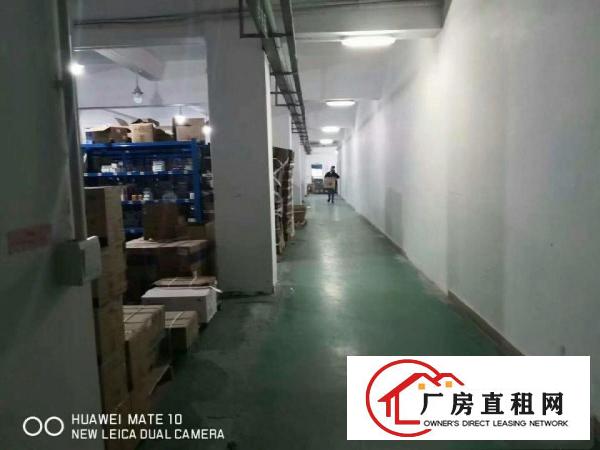  横岗大康原房东红本厂房1600平，无公摊，无公摊，无公摊！