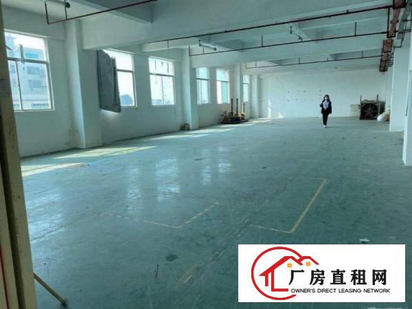  横岗六约原房东带红本厂房直租，带装修930平，人流量大