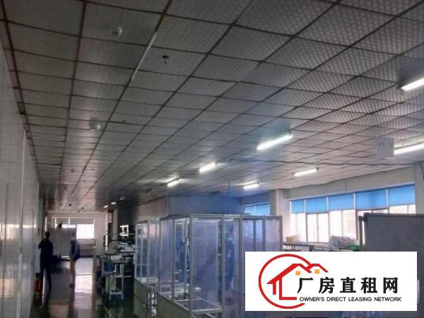 横岗红棉原房东厂房2000平出租精装修无递增