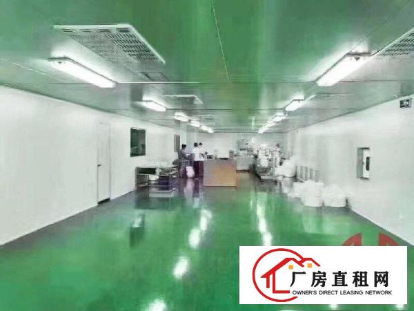  横岗新出无尘车间原房东实际面积