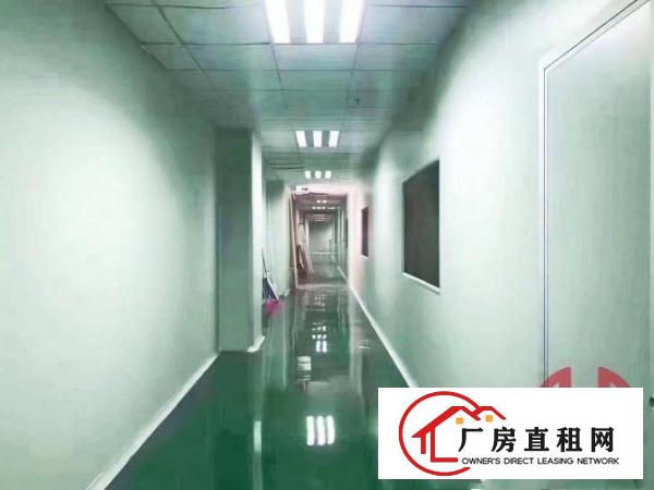  横岗新出无尘车间原房东实际面积
