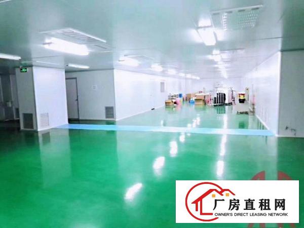  横岗新出无尘车间原房东实际面积