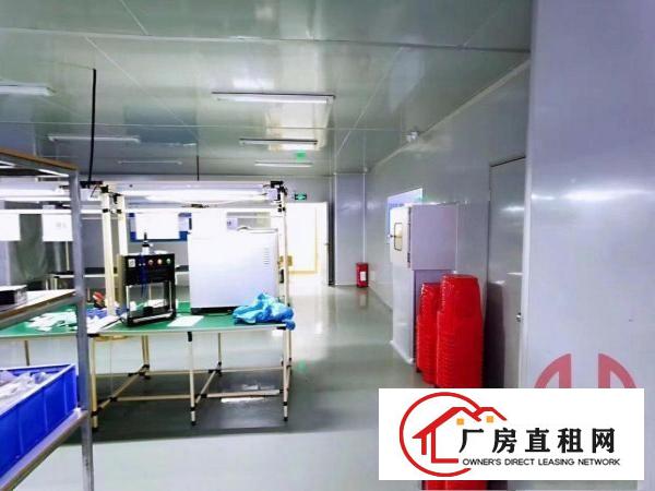  横岗新出无尘车间原房东实际面积