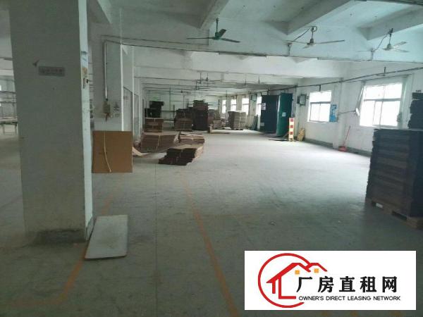  沙荷路边上二楼1000平，面积实在！！！