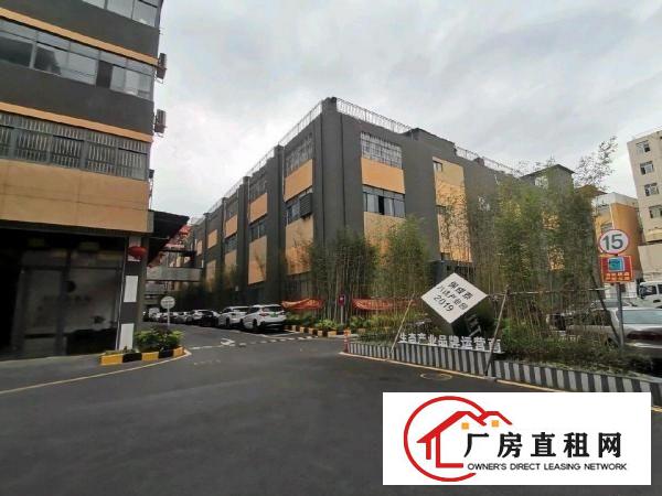  横岗地铁口1000平可做电商，办公，展厅