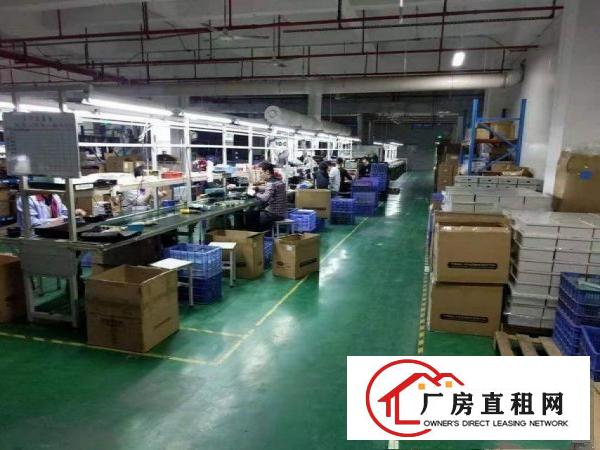  横岗新光村厂房出租楼上4880平带精装办公室，交通四通八达