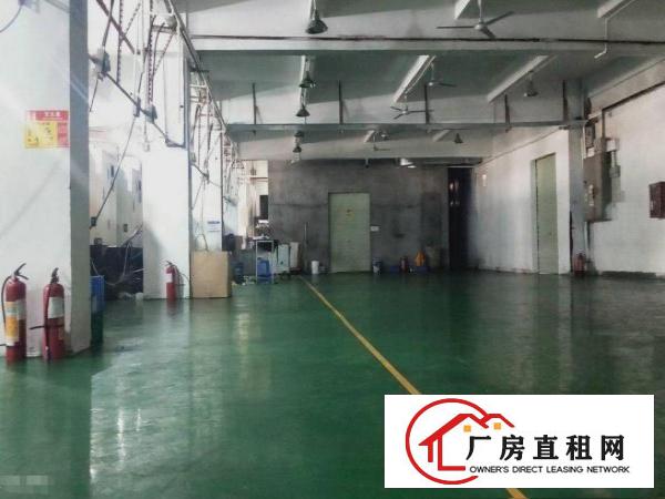  横岗六约村新出全新楼上2500平厂房带装修分出租，不需转让费