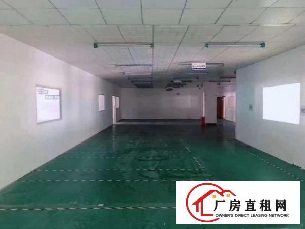  横岗华乐路独院厂房出租8600平，原房东直租，500平起分租