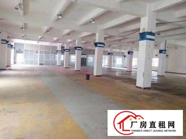  横岗华乐路独院厂房出租8600平，原房东直租，500平起分租