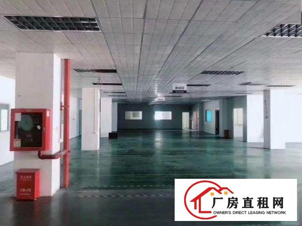 横岗华乐路独院厂房出租8600平，原房东直租，500平起分租