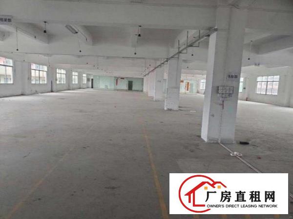  横岗茂兴路新出小面积标准厂房出租一楼500平方，红本在手