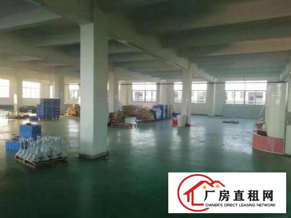  横岗茂兴路新出小面积标准厂房出租一楼500平方，红本在手