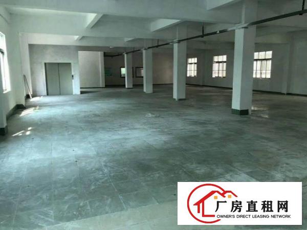 横岗荷坳原房东独院标准厂房整栋3195平米出租