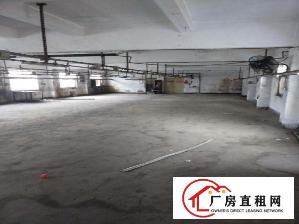  村委横岗安良带电梯厂房出租价格便宜（有意者电话联系）