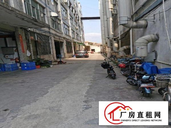  横岗一楼厂房特价出租