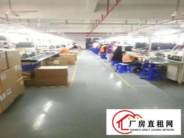  横岗六约全新装修620平工业厂房招租（有一部2吨货梯）