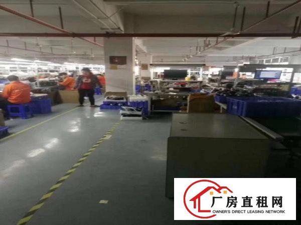  横岗六约全新装修620平工业厂房招租（有一部2吨货梯）