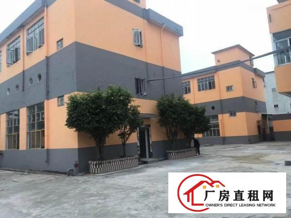  村委出租横岗安良带电梯厂房（有意者电话联系）