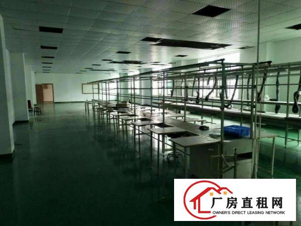  横岗四联原房东二楼1800平标准工业厂房招租