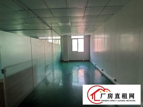  龙岗区园山大康精装修16元，有电梯