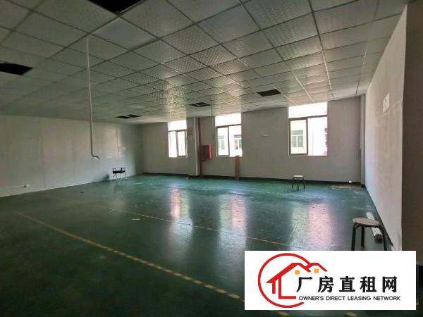  龙岗区园山大康精装修16元，有电梯