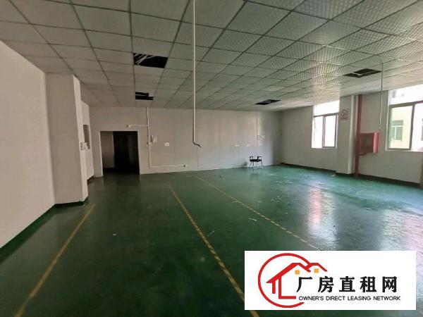  龙岗区园山大康精装修16元，有电梯
