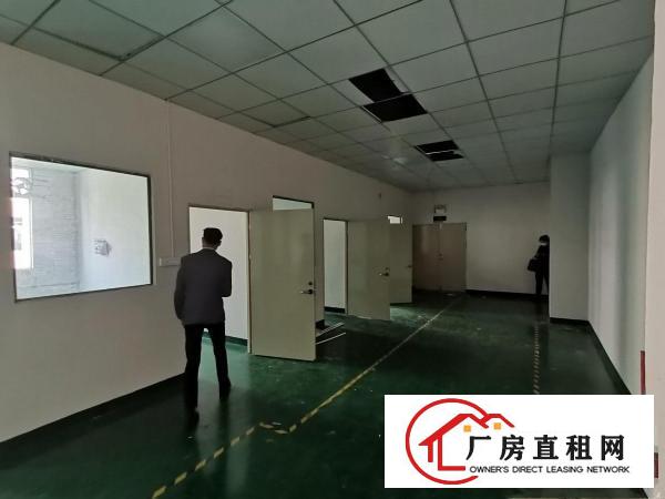  龙岗区园山大康精装修16元，有电梯