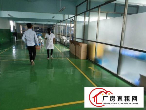  塘坑地铁口埔厦工业区电商仓库办公室280平方