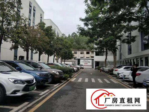  横岗六约社区新出精装修厂房1200平方出租，可拎包入住