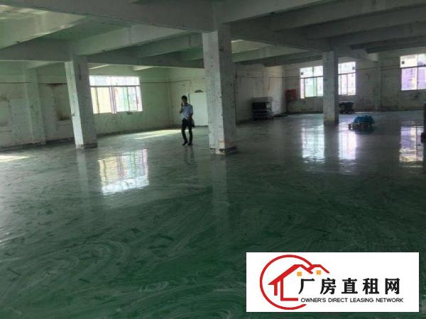  横岗旱塘村新出4楼带现成装修1000平方厂房出租，招工方便