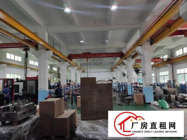  横岗沙荷路新出一楼厂房出租1000平带装修高6米带行车过环评