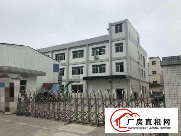  横岗沙荷路一手房东出租，独院厂房4000平，无公摊，配备宿舍