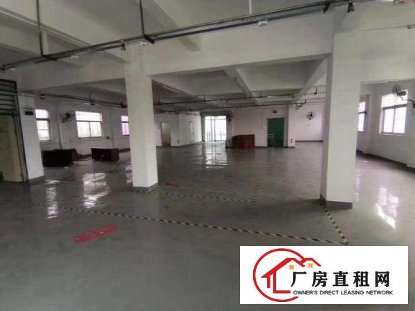  横岗沙荷路一手房东出租，独院厂房4000平，无公摊，配备宿舍