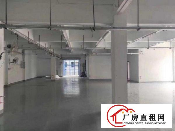  横岗沙荷路一手房东出租，独院厂房4000平，无公摊，配备宿舍