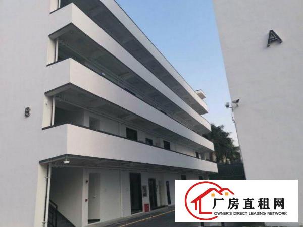  横岗龙岗大道新出电商园800平带阳台简装办公厂房招租，空地大