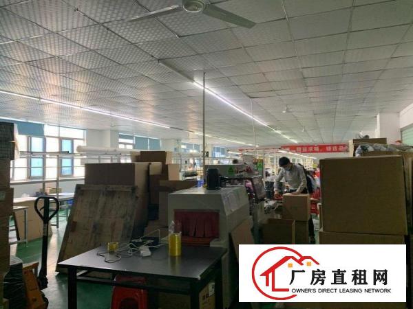  横岗228现成豪华装修厂房2000平大小可分租